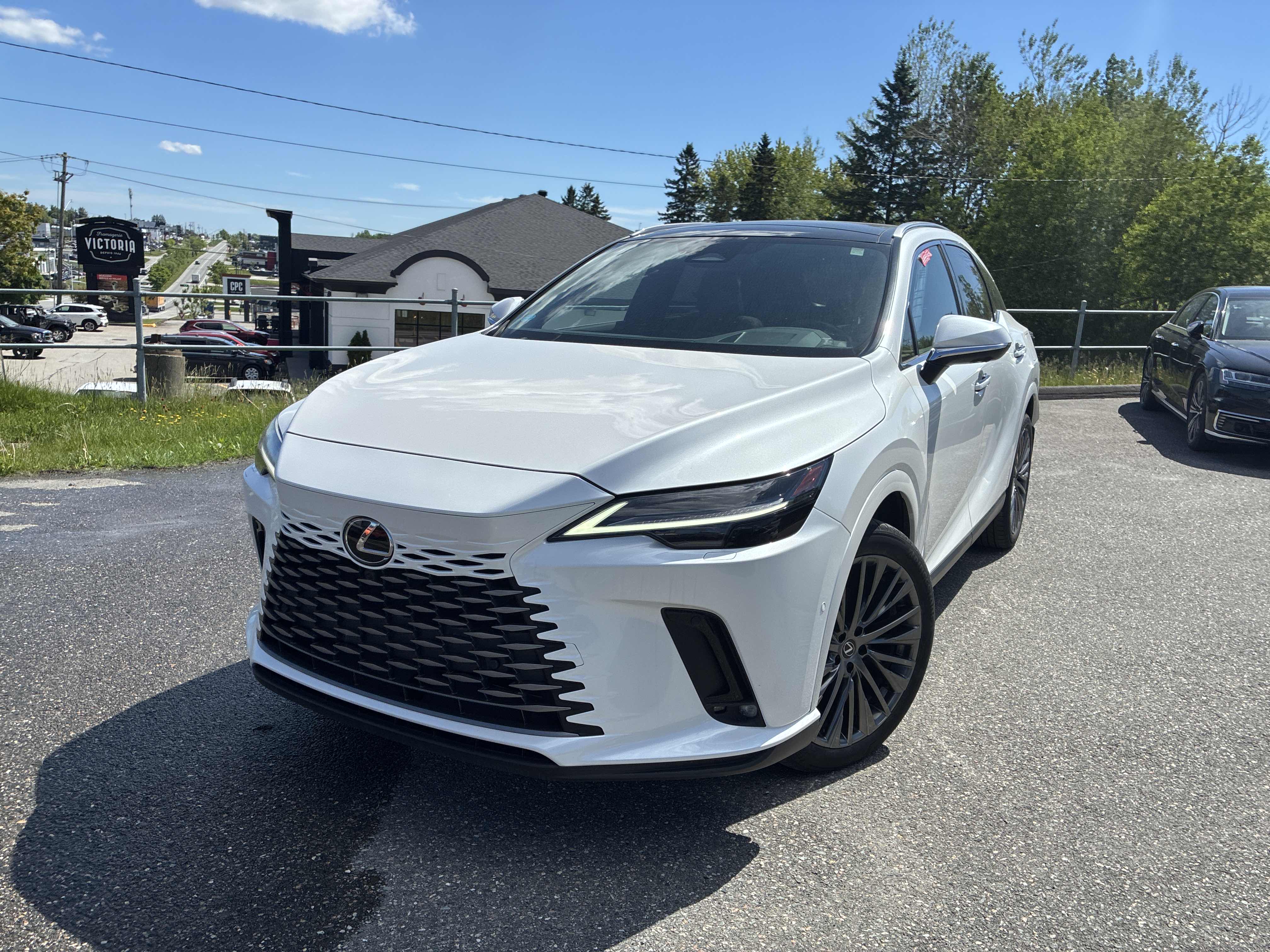 2024 Lexus RX
