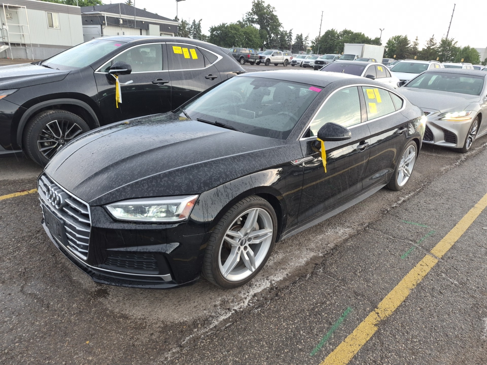 2018 Audi A5 SPORTBACK