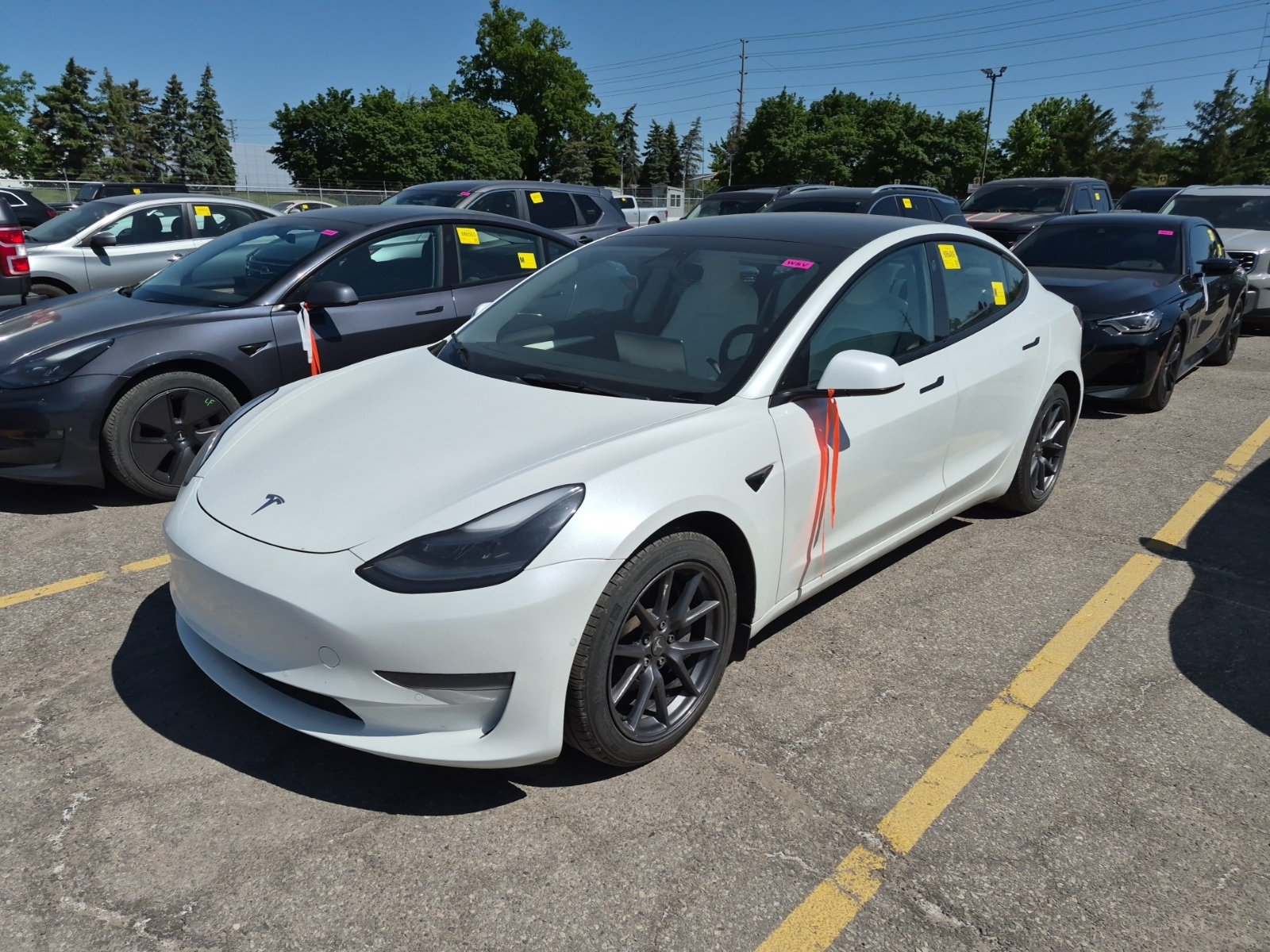 TESLA MODEL 3