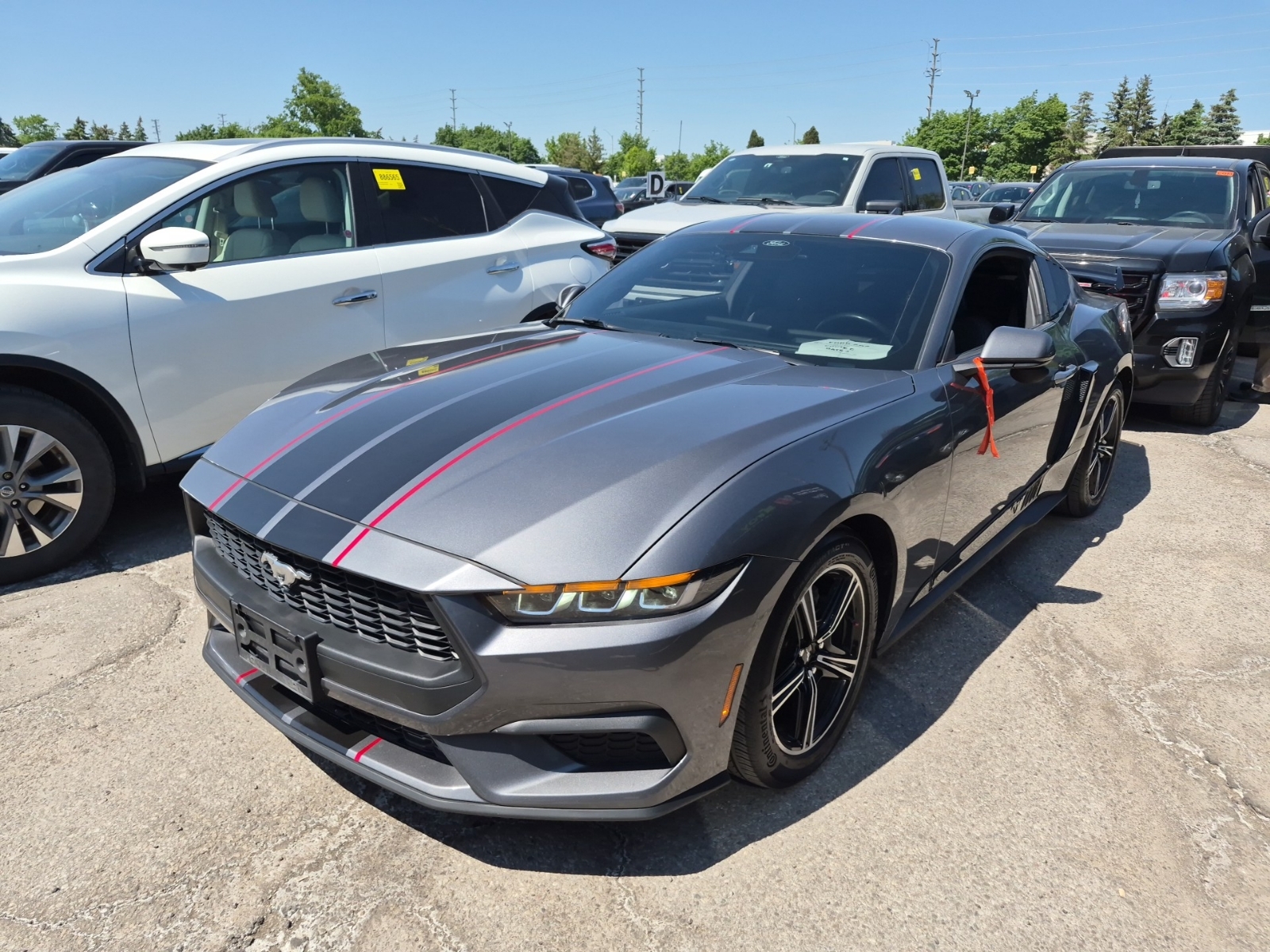 FORD MUSTANG