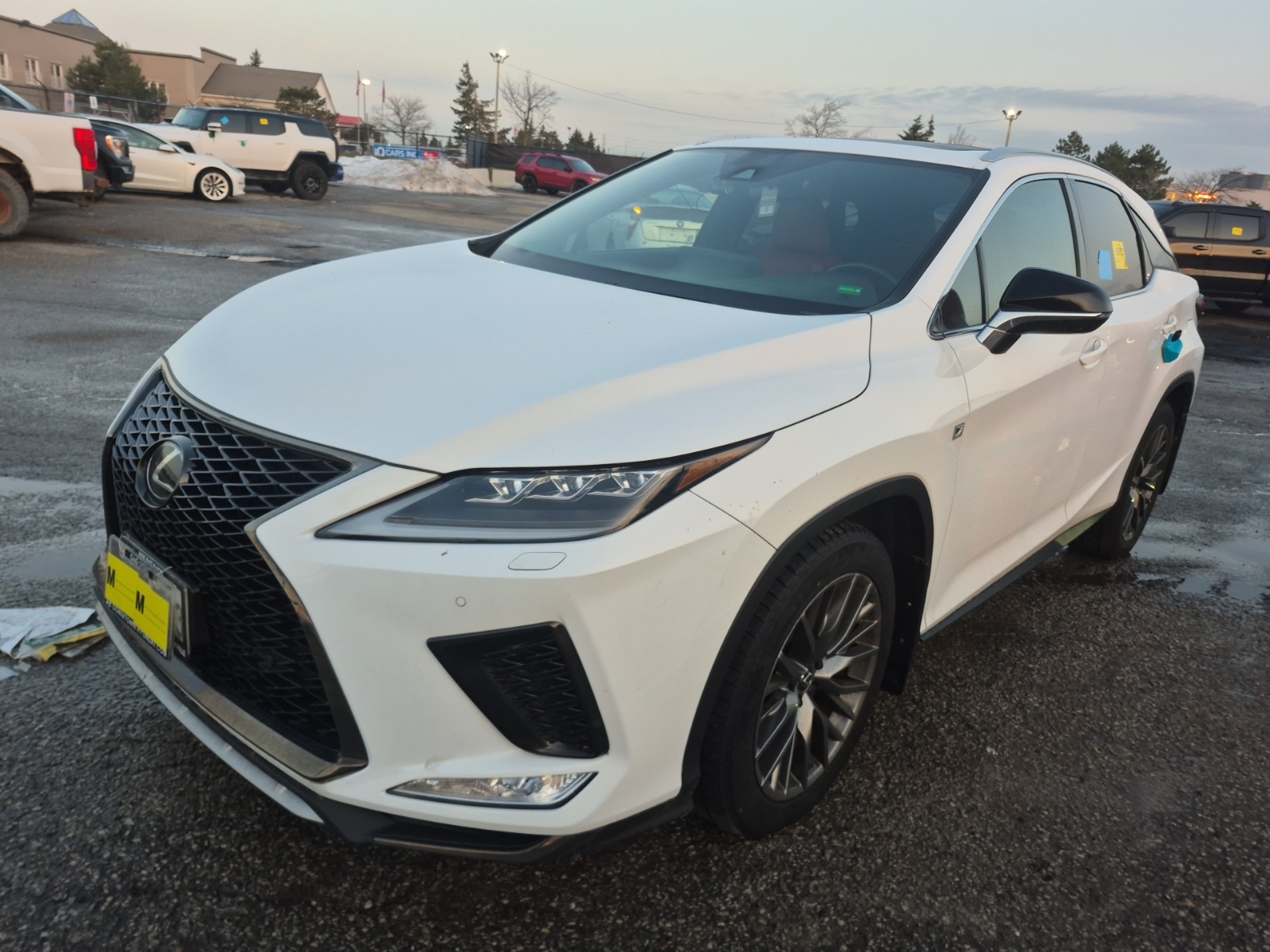 LEXUS RX