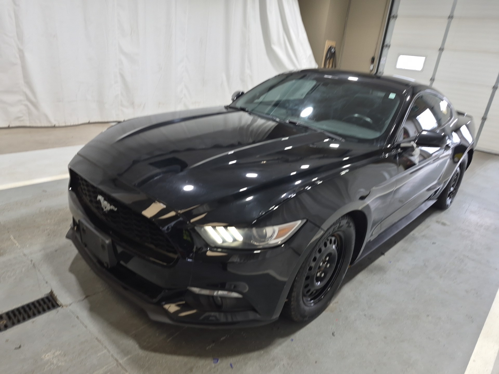 FORD MUSTANG