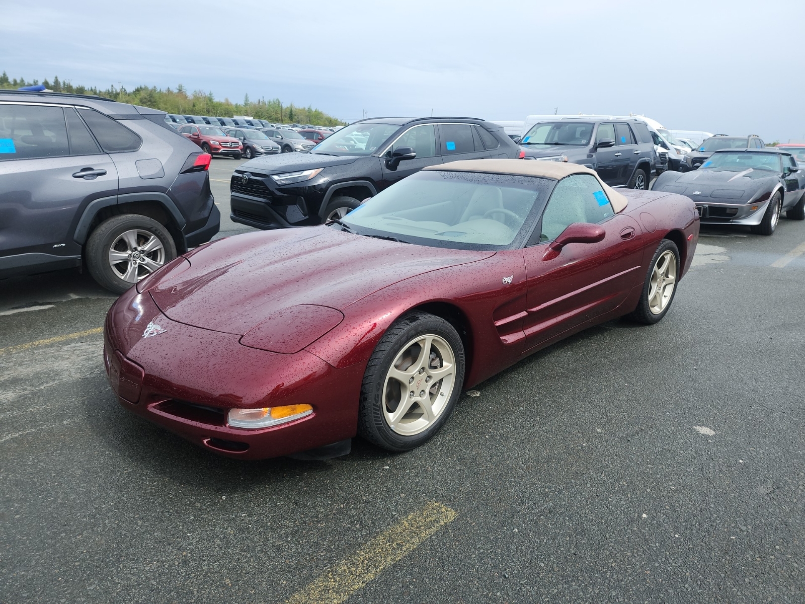 CHEVROLET CORVETTE