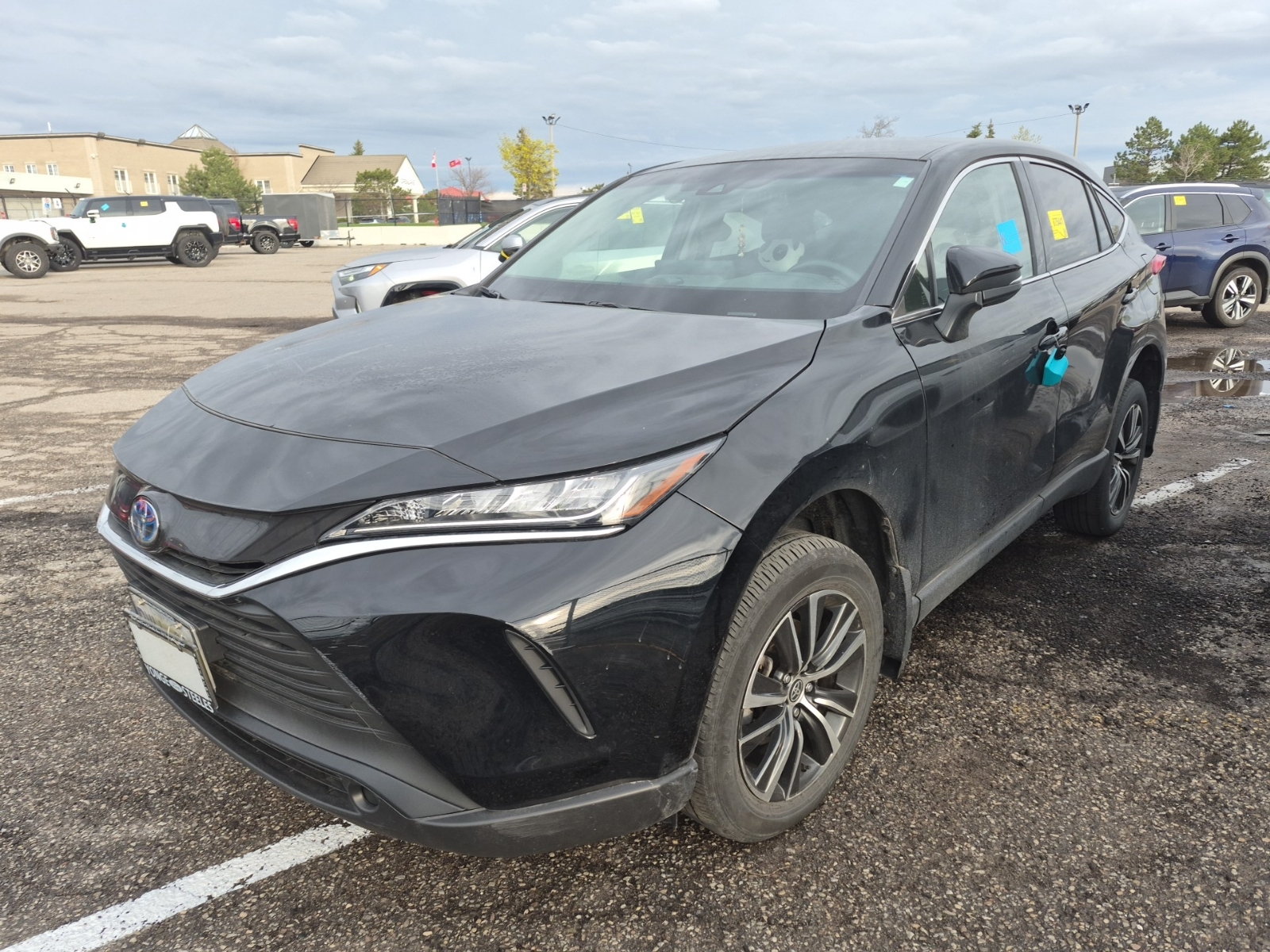 TOYOTA VENZA